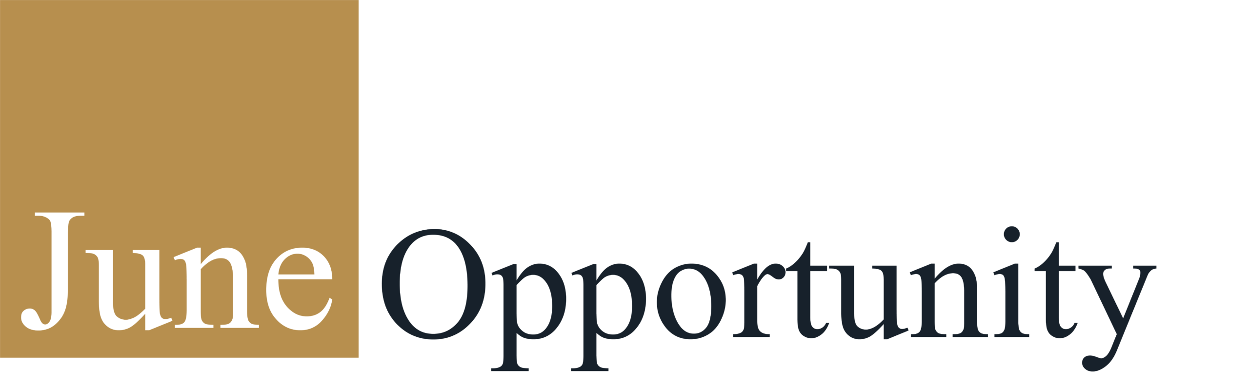 Logo June Opportunity